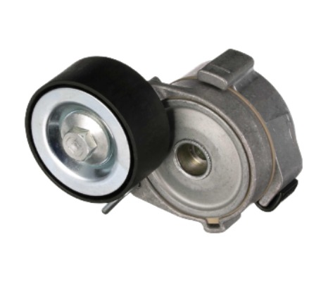 REF NO: MK667237 Image